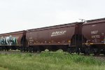 BNSF 489998